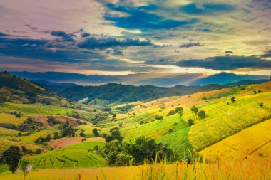 Pa Bong Piang Panorama Hava Manzarası güneş batarken pirinç tarlalarını, Mae Chaem, Chiang Mai Tayland.