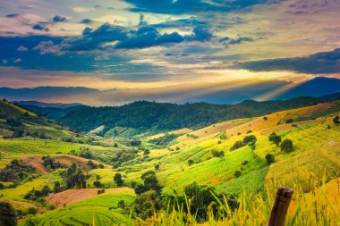 Pa Bong Piang Panorama Hava Manzarası güneş batarken pirinç tarlalarını, Mae Chaem, Chiang Mai Tayland.