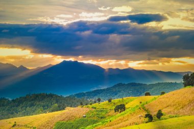 Pa Bong Piang Panorama Hava Manzarası güneş batarken pirinç tarlalarını, Mae Chaem, Chiang Mai Tayland.