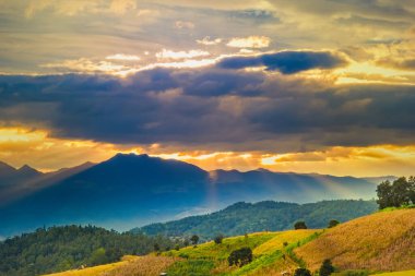 Pa Bong Piang Panorama Hava Manzarası güneş batarken pirinç tarlalarını, Mae Chaem, Chiang Mai Tayland.