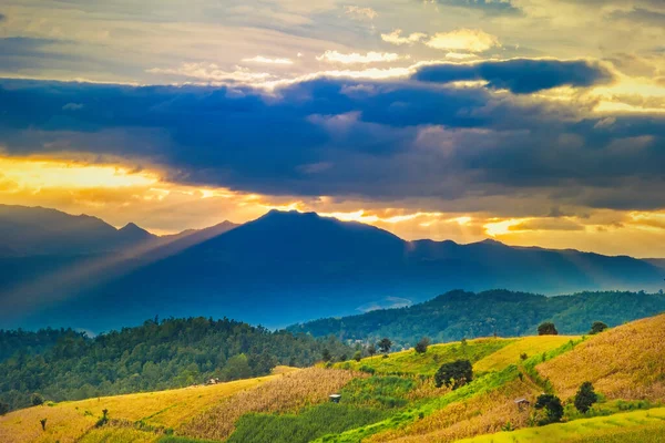 Pa Bong Piang Panorama Hava Manzarası güneş batarken pirinç tarlalarını, Mae Chaem, Chiang Mai Tayland.