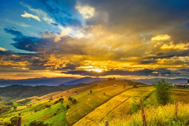 Pa Bong Piang Panorama Hava Manzarası güneş batarken pirinç tarlalarını, Mae Chaem, Chiang Mai Tayland.
