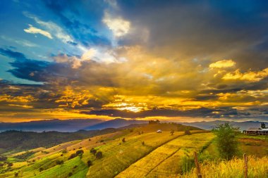 Pa Bong Piang Panorama Hava Manzarası güneş batarken pirinç tarlalarını, Mae Chaem, Chiang Mai Tayland.