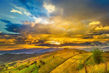 Pa Bong Piang Panorama Hava Manzarası güneş batarken pirinç tarlalarını, Mae Chaem, Chiang Mai Tayland.