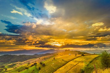 Pa Bong Piang Panorama Hava Manzarası güneş batarken pirinç tarlalarını, Mae Chaem, Chiang Mai Tayland.