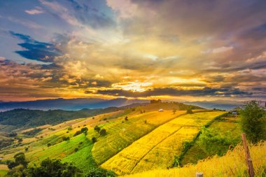 Pa Bong Piang Panorama Hava Manzarası güneş batarken pirinç tarlalarını, Mae Chaem, Chiang Mai Tayland.