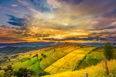 Pa Bong Piang Panorama Hava Manzarası güneş batarken pirinç tarlalarını, Mae Chaem, Chiang Mai Tayland.