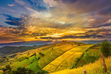 Pa Bong Piang Panorama Hava Manzarası güneş batarken pirinç tarlalarını, Mae Chaem, Chiang Mai Tayland.