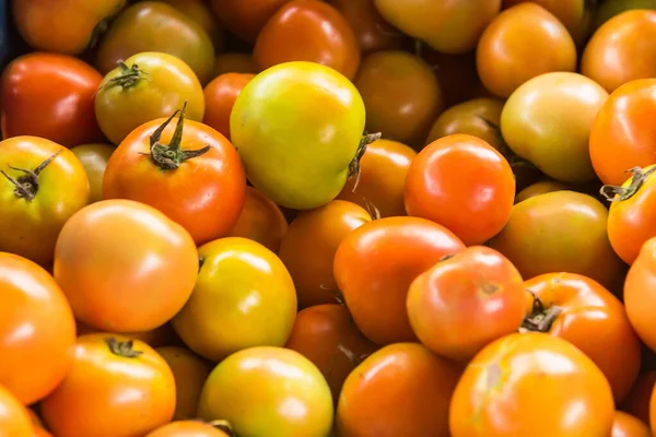 Foco Seletivo Deliciosos Tomates Vermelhos Mercado Bandeja Verão Fazenda Agrícola — Fotografia de Stock