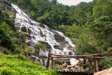 Mae Ya Şelaleleri, Chiangmai, Tayland