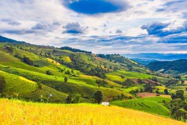 Pa Bong Piang Panorama Hava Manzarası pirinç tarlaları, Mae Chaem, Chiang Mai Tayland.