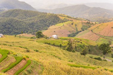 Pa Bong Piang Panorama Hava Manzarası pirinç tarlaları, Mae Chaem, Chiang Mai Tayland.