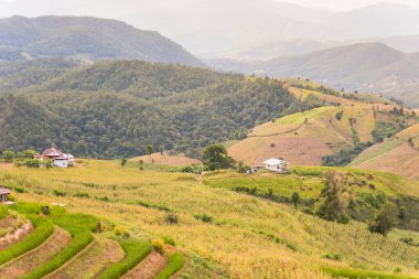 Pa Bong Piang Panorama Hava Manzarası pirinç tarlaları, Mae Chaem, Chiang Mai Tayland.