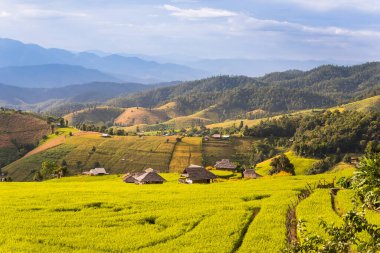 Pa Bong Piang Panorama Hava Manzarası pirinç tarlaları, Mae Chaem, Chiang Mai Tayland.