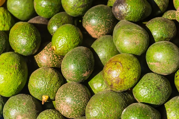 Mat Frukt Färsk Grön Avokado Bakgrund Färsk Avokado Mönster Till — Stockfoto