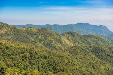 Tepelerde dağ manzarası sabahı ve yumuşak sisli yeşil orman örtüsü ve mavi gökyüzü. Tayland.