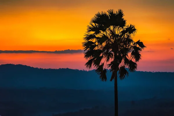 Gün Doğumunda Siluet Palmiye Ağacı Dağda Renkli Alacakaranlık Gökyüzü — Stok fotoğraf