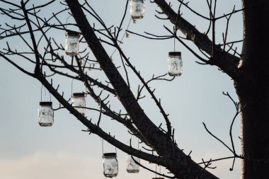 Geceleri süslemek için ağacın üzerine küçük bir ampul yerleştirilmiş cam bir kavanoz..