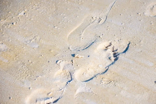 Textuur Achtergrond Voetafdrukken Van Menselijke Voeten Het Zand Bij Het — Stockfoto