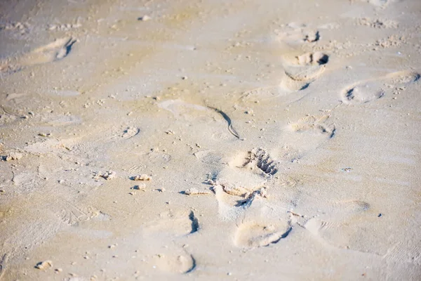 Textur Hintergrund Fußabdrücke Von Menschlichen Füßen Auf Dem Sand Der — Stockfoto