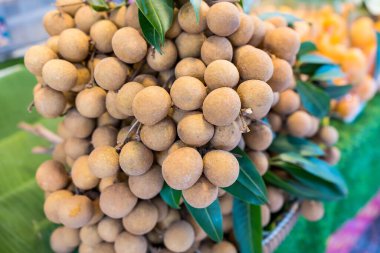 Fresh Longan in market,Tropical fruit with sweet taste of Thailand.