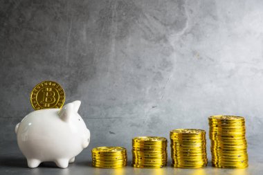 Domuz kumbarası ve Bitcoin paraları. Yatırım mülkiyeti, iş ve finans kavramı. Dijital çağda para tasarrufu. Bitcoin finansmanı