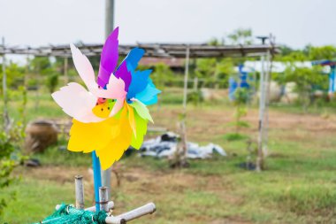 Küçük Renkli Yel değirmeni Gün batımında bahçede.