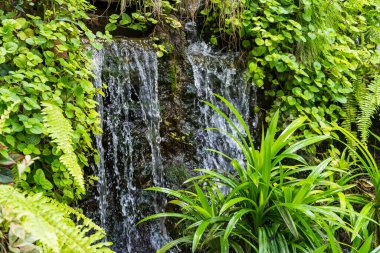 Şelaleler ön ve arka bahçeyi süslüyor. Evin içindeki su bahçeleri..