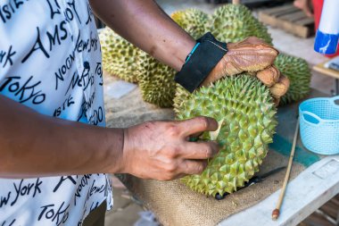 Bangkok, Tayland - Mayıs 09, 2021: Bıçaklı Durian meyvesi soy, Asyalı bir adamın eli Durian meyvelerin kralıdır. Sadece yazın serbest bırakıldı..