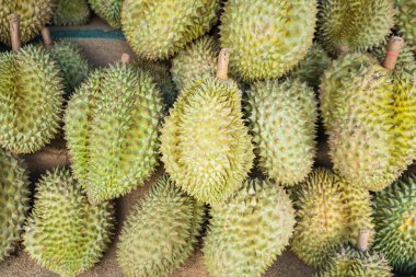 Durian, Tayland 'daki meyveler. Tropikal meyveler markette lezzetli, tatlı ve güzel kokulu satılıyor..