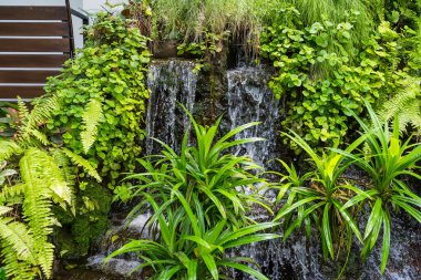 Şelaleler ön ve arka bahçeyi süslüyor. Evin içindeki su bahçeleri..