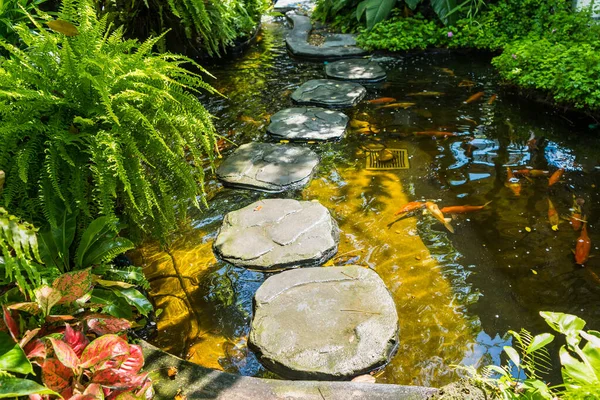 Plataforma Piedra Pasarela Través Del Estanque Peces Jardín — Foto de Stock