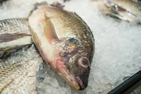 Fresh fish on ice display in a supermarket.