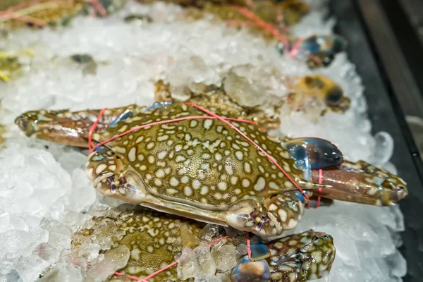 Kolorowy Krab Lodzie Solnym Jako Surowiec Gotowania Który Sprzedaje Się — Zdjęcie stockowe