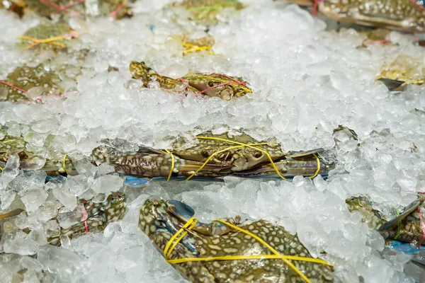 Tuzlu buzlu renkli yengeç. Pazarda satılan yemekleri pişirmek için ham malzeme.