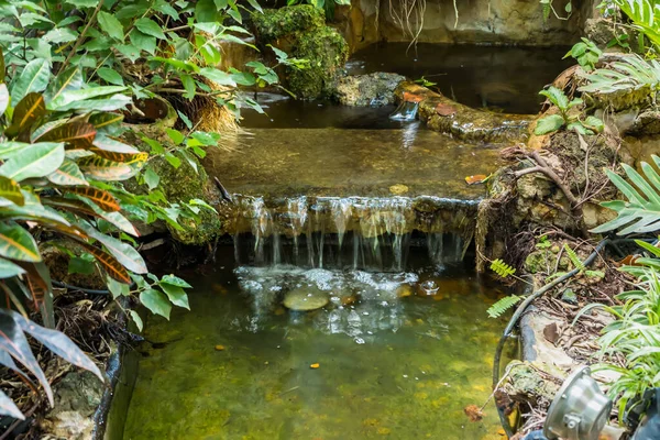 Las Cascadas Decoran Frente Patio Trasero Jardines Agua Dentro Casa — Foto de Stock
