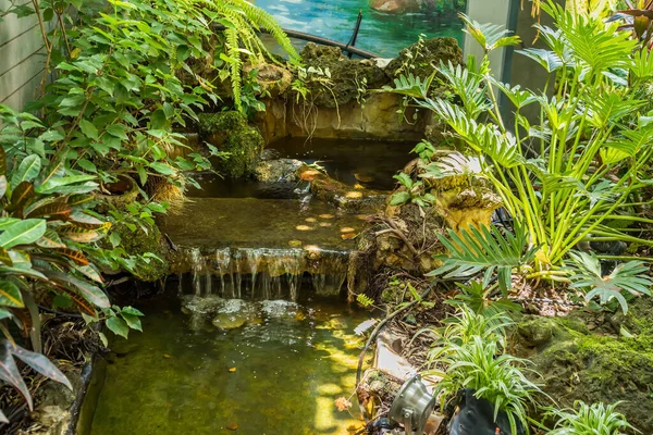 Las Cascadas Decoran Frente Patio Trasero Jardines Agua Dentro Casa — Foto de Stock