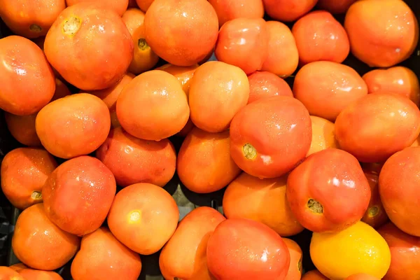 Tomatoes Supermarket — Stock Photo, Image