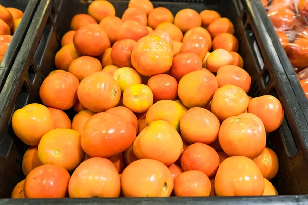 Tomates Supermercado — Fotografia de Stock