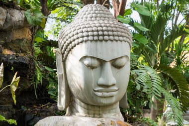 Geniş bir taş Buda heykeli. Etrafı bereketli tropikal yeşilliklerle çevrili. Açık hava bahçesinde.