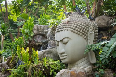 Geniş bir taş Buda heykeli. Etrafı bereketli tropikal yeşilliklerle çevrili. Açık hava bahçesinde.