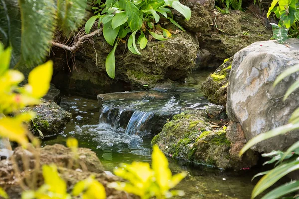 Bereketli bitki örtüsü ve yeşilliklerle çevrili sakin bir orman deresinde yosun kaplı kayaların üzerinden akan küçük doğal şelale.