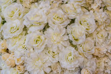 Beyaz güllerin ve şakayıkların oluşturduğu yoğun bir çiçek düzeninin yakın çekimi yumuşak ve zarif bir arkaplan oluşturur.