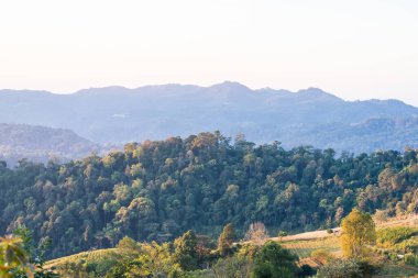 Ormanlık tepelerin ve açık gökyüzünün altındaki uzak mavi dağların manzarası.