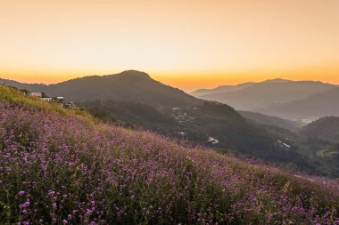 Güneşin doğuşuyla birlikte vadilerde sis ve uzak ormanlık tepeleri aydınlatan sıcak altın ışıkla huzurlu dağ manzarası.
