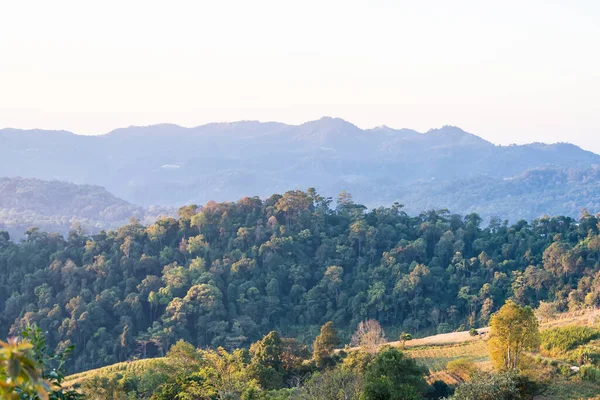 Ormanlık tepelerin ve açık gökyüzünün altındaki uzak mavi dağların manzarası.