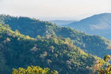 Gün doğumunda sisli orman dağlarının manzarası. Yoğun yeşil yapraklarla kaplı tepelerin katmanları.