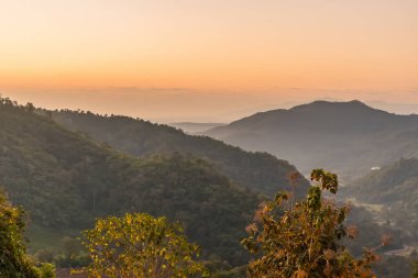 Gün doğumunda sisli orman dağlarının manzarası. Yoğun yeşil yapraklarla kaplı tepelerin katmanları.