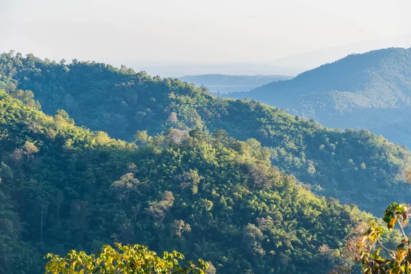 Gün doğumunda sisli orman dağlarının manzarası. Yoğun yeşil yapraklarla kaplı tepelerin katmanları.