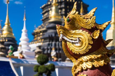 Chiang Mai, Tayland - Ocak, 06, 2026: Altın Aslan Heykeli ve Tapınakları: Görkemli bir altın aslan heykeli nöbet tutar, parlak gökyüzünün altında parlak bir şekilde parlarken, tapınağın dingin kuleleri Chian 'daki cennete doğru uzanır